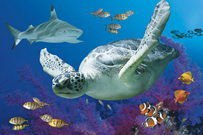 Yorkshire Holidays Yorkshire Holidays